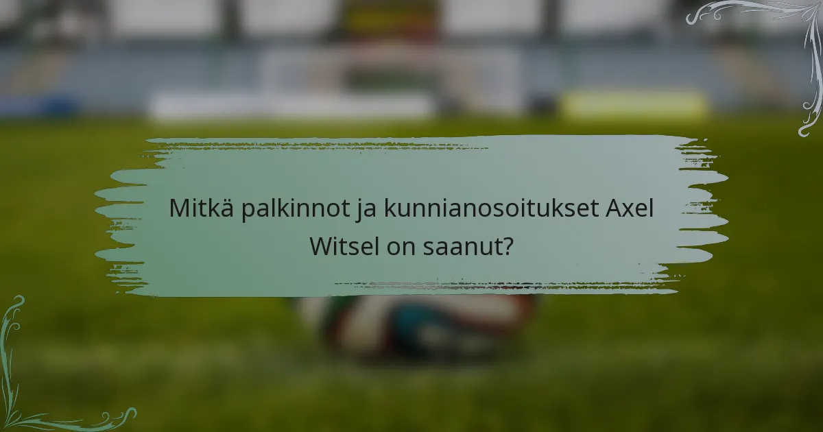 Mitkä palkinnot ja kunnianosoitukset Axel Witsel on saanut?